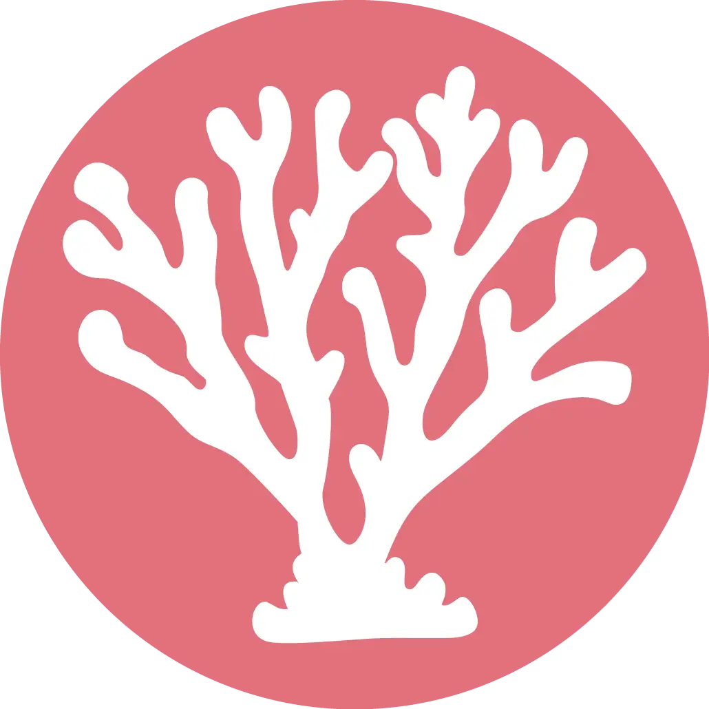 CoralBridge Icon