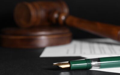 Types of Mauritian Permits